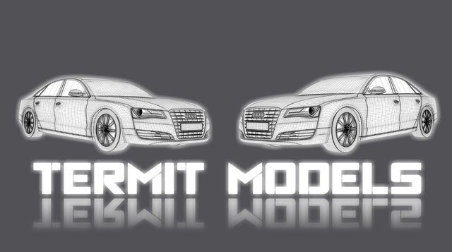 TerMit Models